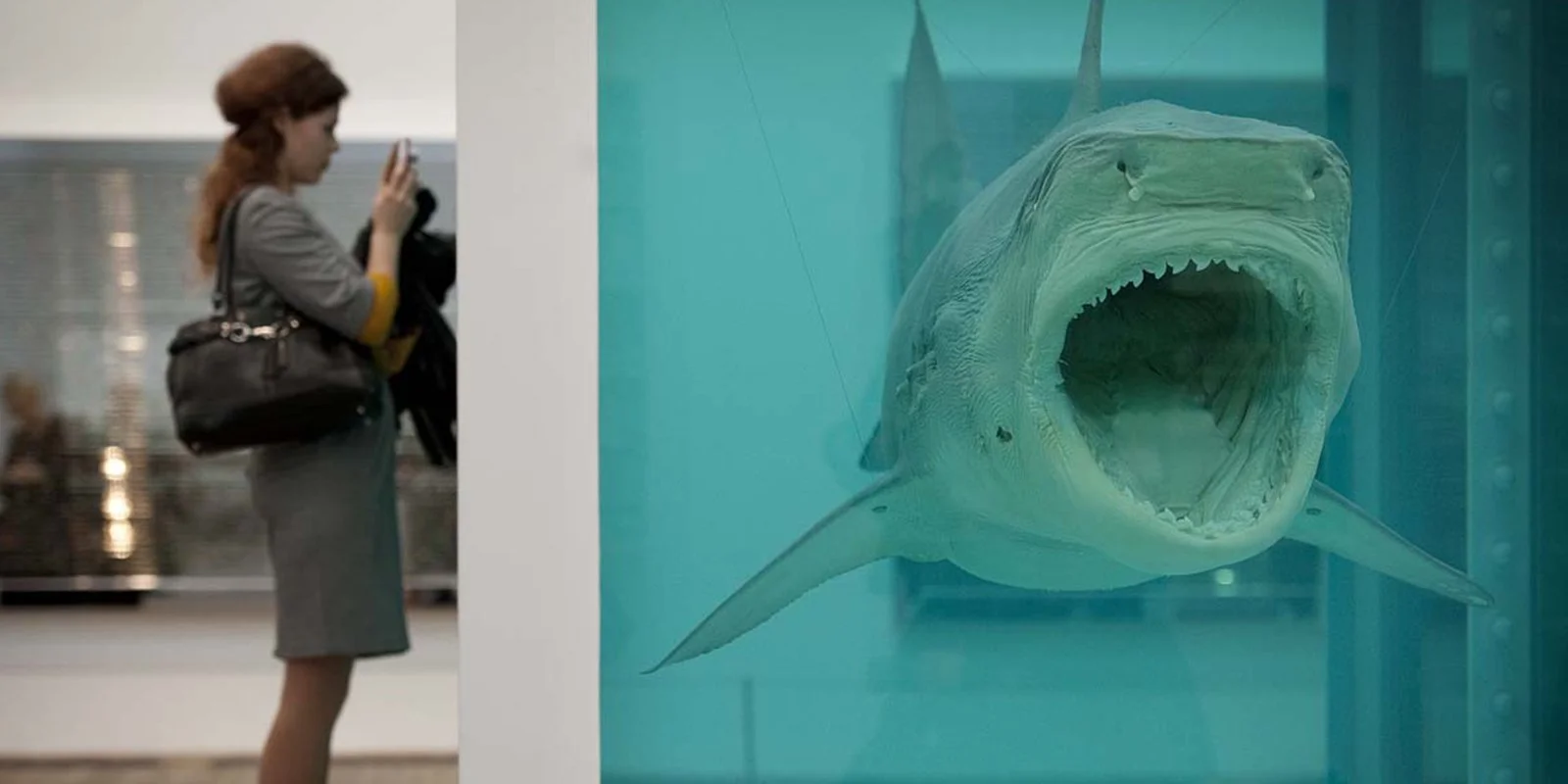 Damien Hirst tiburón en formalina